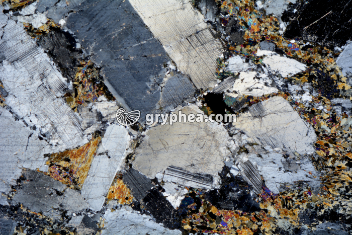 Métagabbro à Hornblende LPA x3,5 - gryphea.com